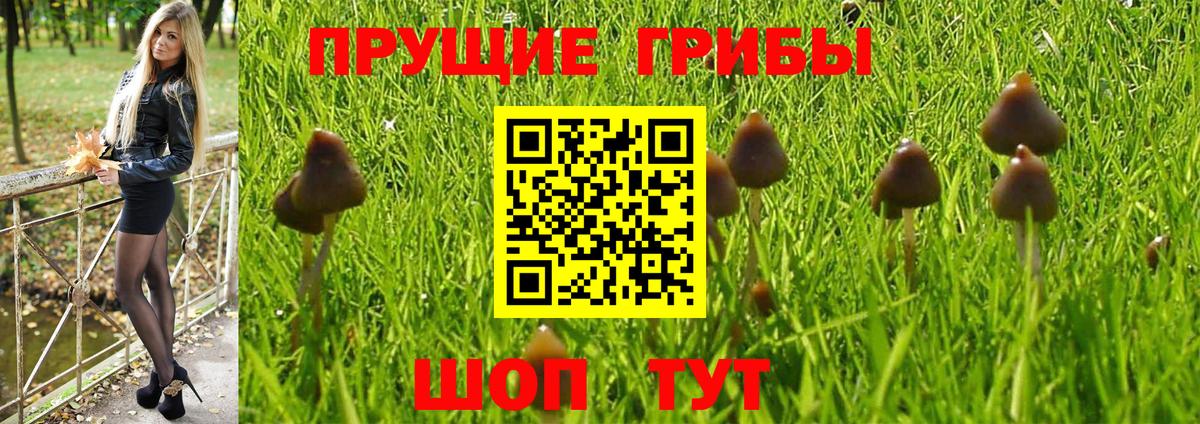 Галлюциногенные грибы Magic Shrooms Гусиноозёрск