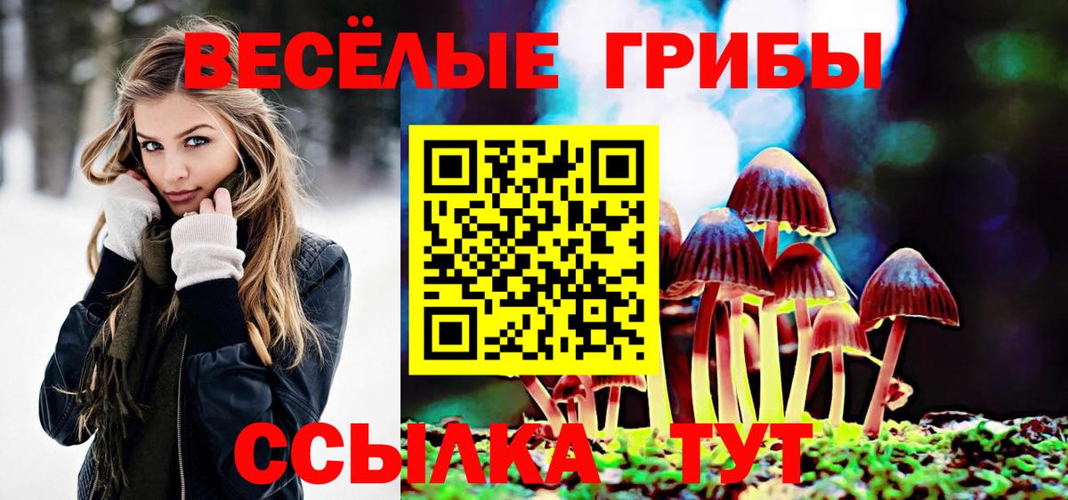 Галлюциногенные грибы Magic Shrooms  Вход с VPN  Гусиноозёрск 