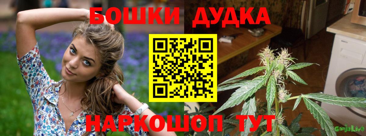Шишки марихуана конопля  Бошки марихуана Ganja  Вход с VPN  Гусиноозёрск  Канабис Bruce Banner 